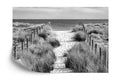 Fototapeta Chodźmy Na Plażę Black &amp; White