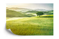 Fototapeta Rolling Hills Wyblakły Vintage