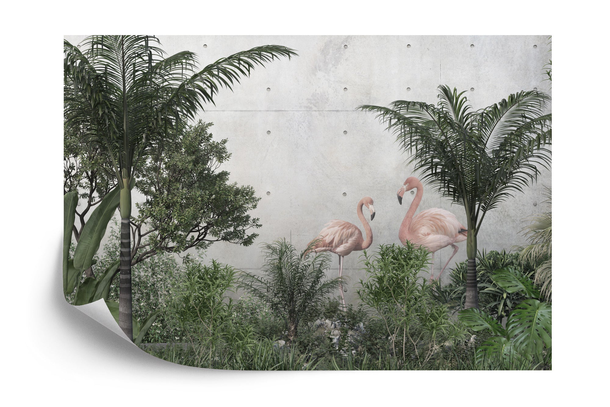 Fototapeta Tropikalne Drzewa Liście I Dwa Różowe Flamingi