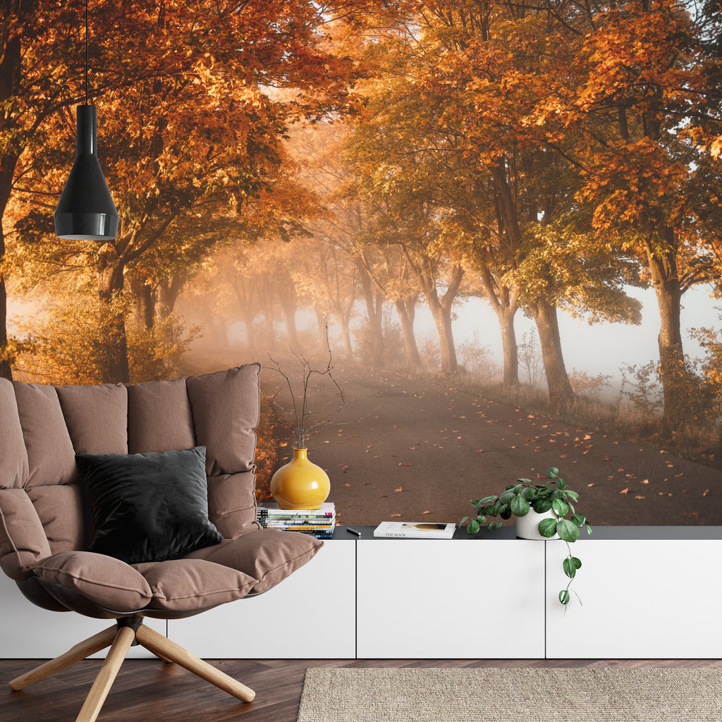 Fototapeta Kolorowe Drzewa W Parku