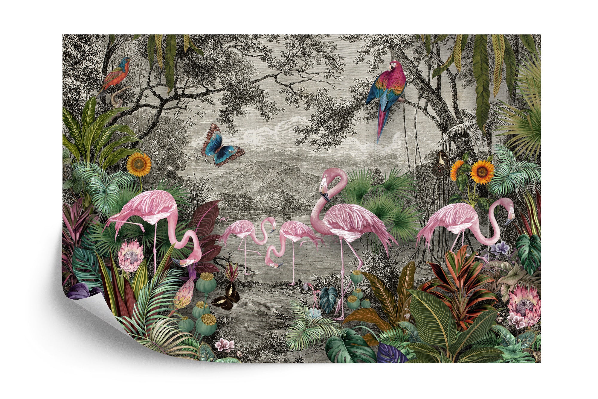 Fototapeta Flamingi Motyle I Ptaki W Kolorowej Dżungli