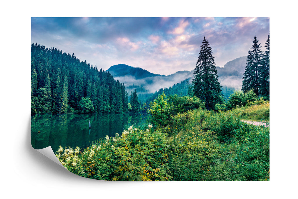 Fototapeta Dramatic Morning Scene Of Lacu Rosu Lake. Misty Summer Sunrise In Harghita County, Romania, Europe. Beauty Of Nature Concept Background.