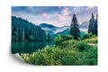 Fototapeta Dramatic Morning Scene Of Lacu Rosu Lake. Misty Summer Sunrise In Harghita County, Romania, Europe. Beauty Of Nature Concept Background.