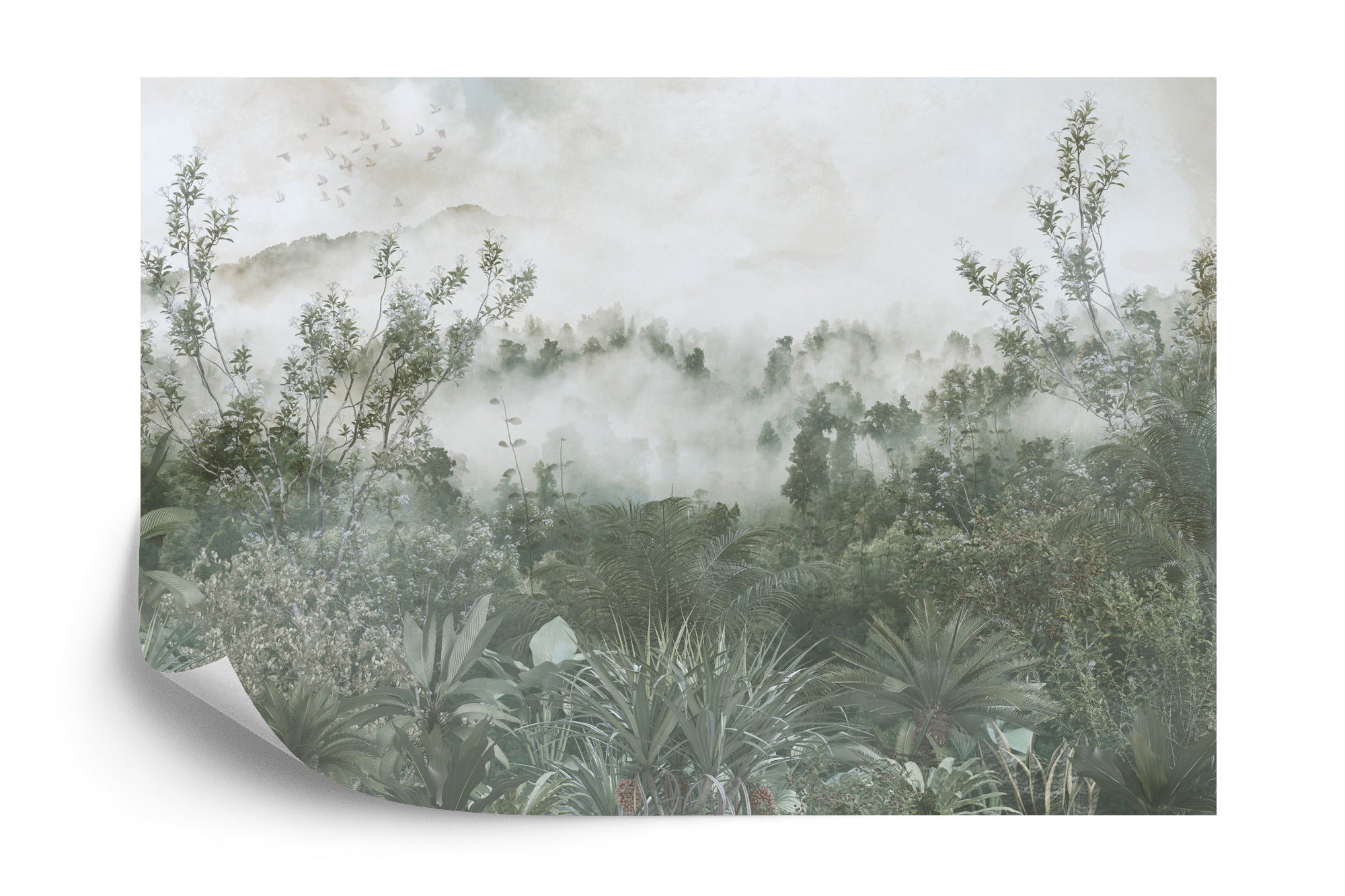 Fototapeta Tropical Trees And Leaves For Digital Printing Wallpaper, Custom Design Wallpaper - 3D