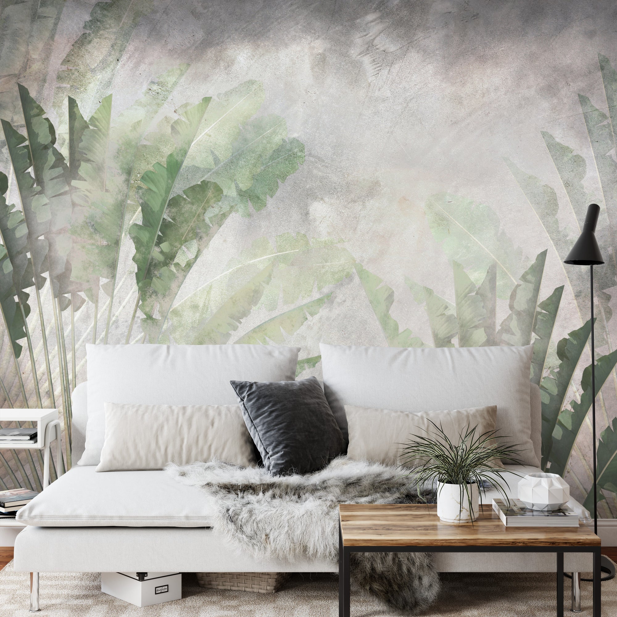 Fototapeta Tropikalne Palmy Pielgrzan Madagaskarski,