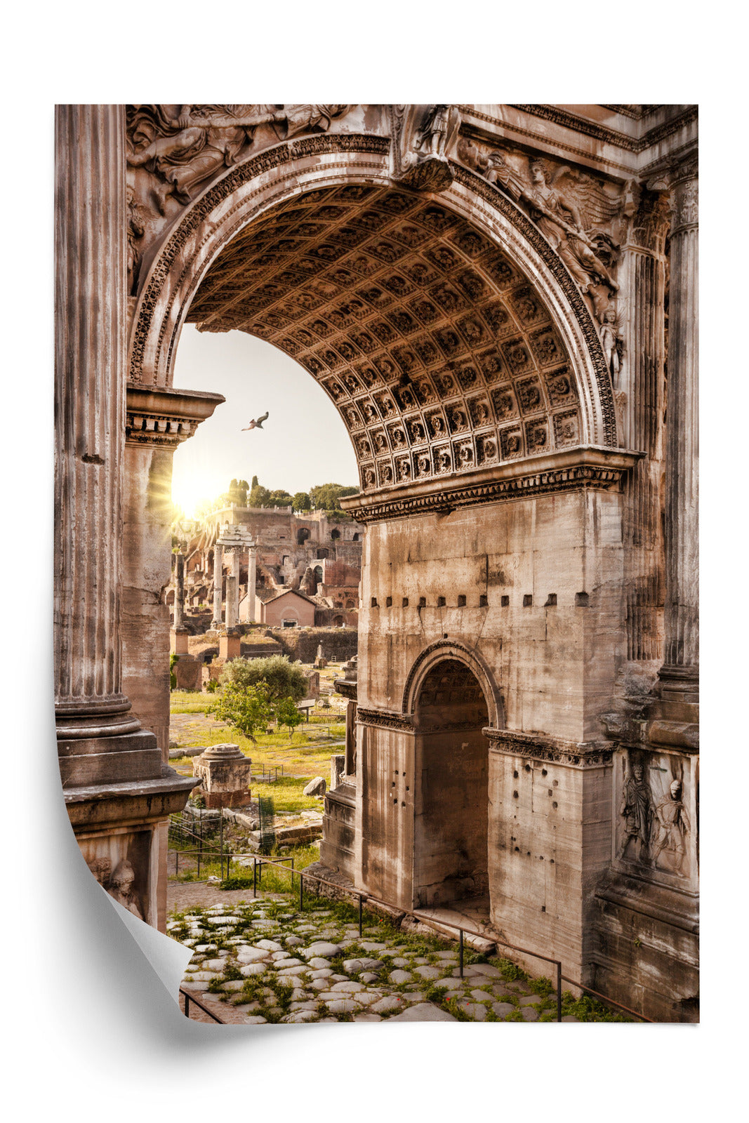 Plakat Architektura Forum Romanum W Rzymie Rama Aluminiowa Kolor Czarny
