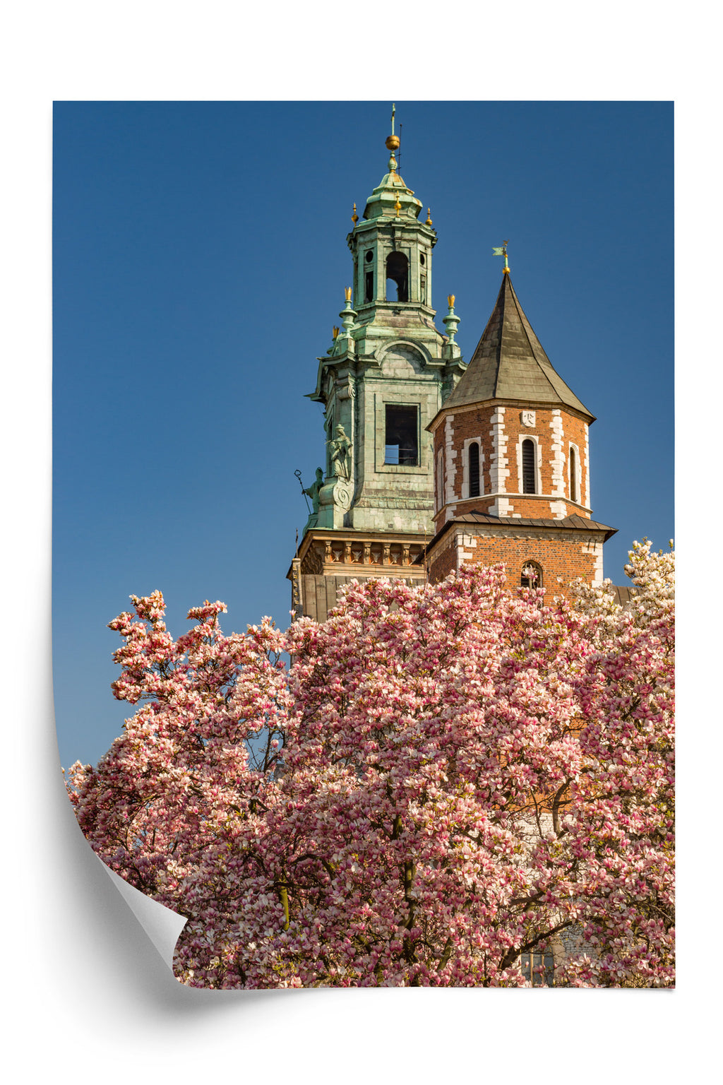 Plakat Katedra Na Wawelu W Krakowie Rama Aluminiowa Kolor Czarny