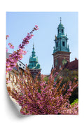 Plakat Wieże Katedry Wawelu Kraków Rama Aluminiowa Kolor Czarny