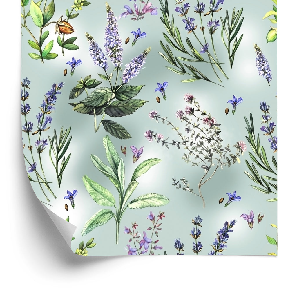 Tapeta Natura Kwiatów Lawendy