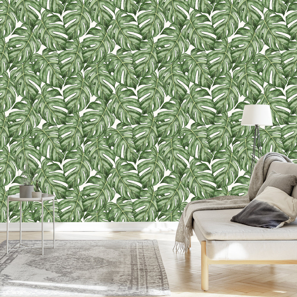 Tapeta Liście Monstera