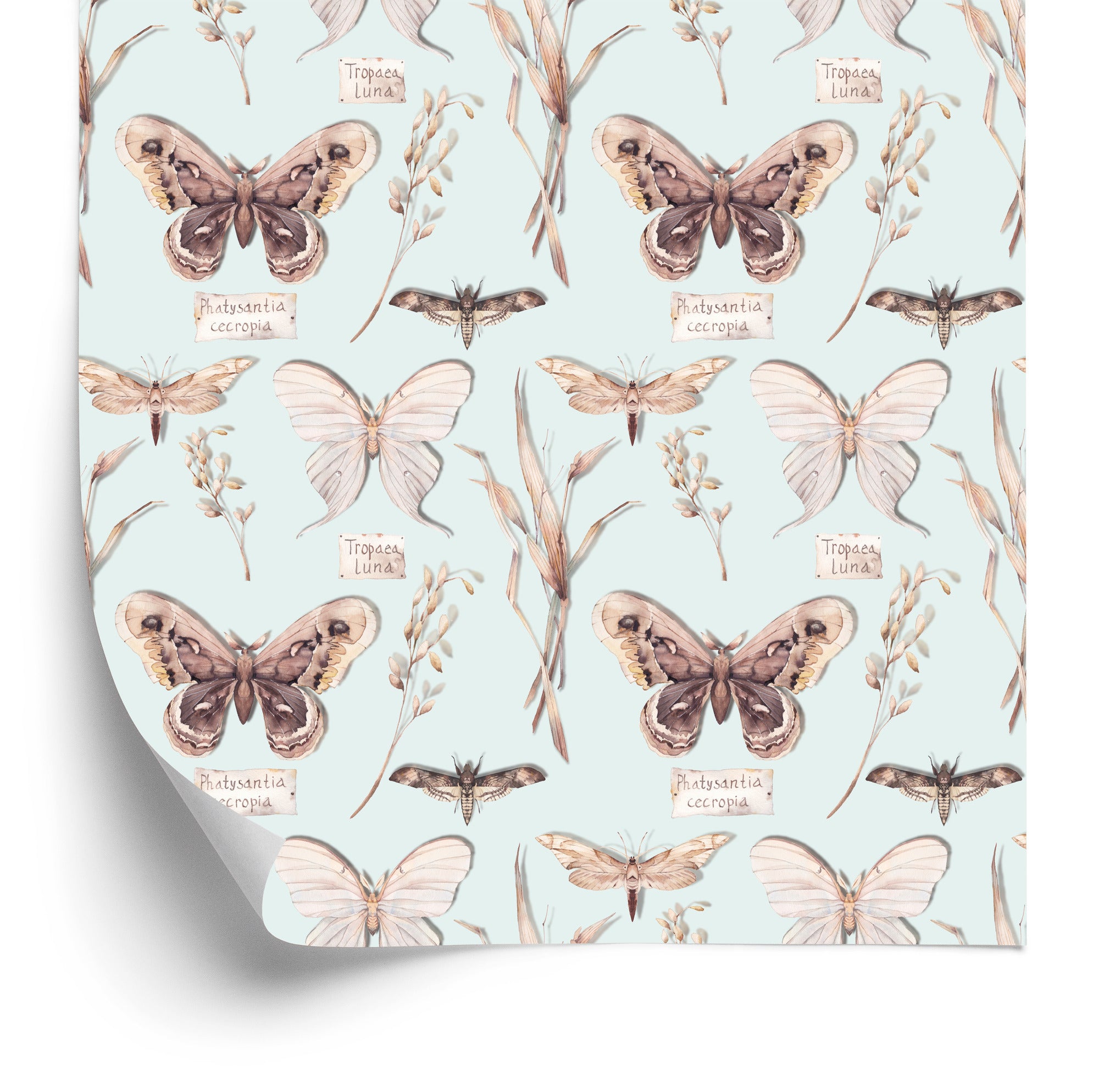 Tapeta Do Jadalni Motyle, Kwiaty, Rośliny, Natura