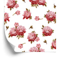 Tapeta Kolorowe Peonie - Akwarela