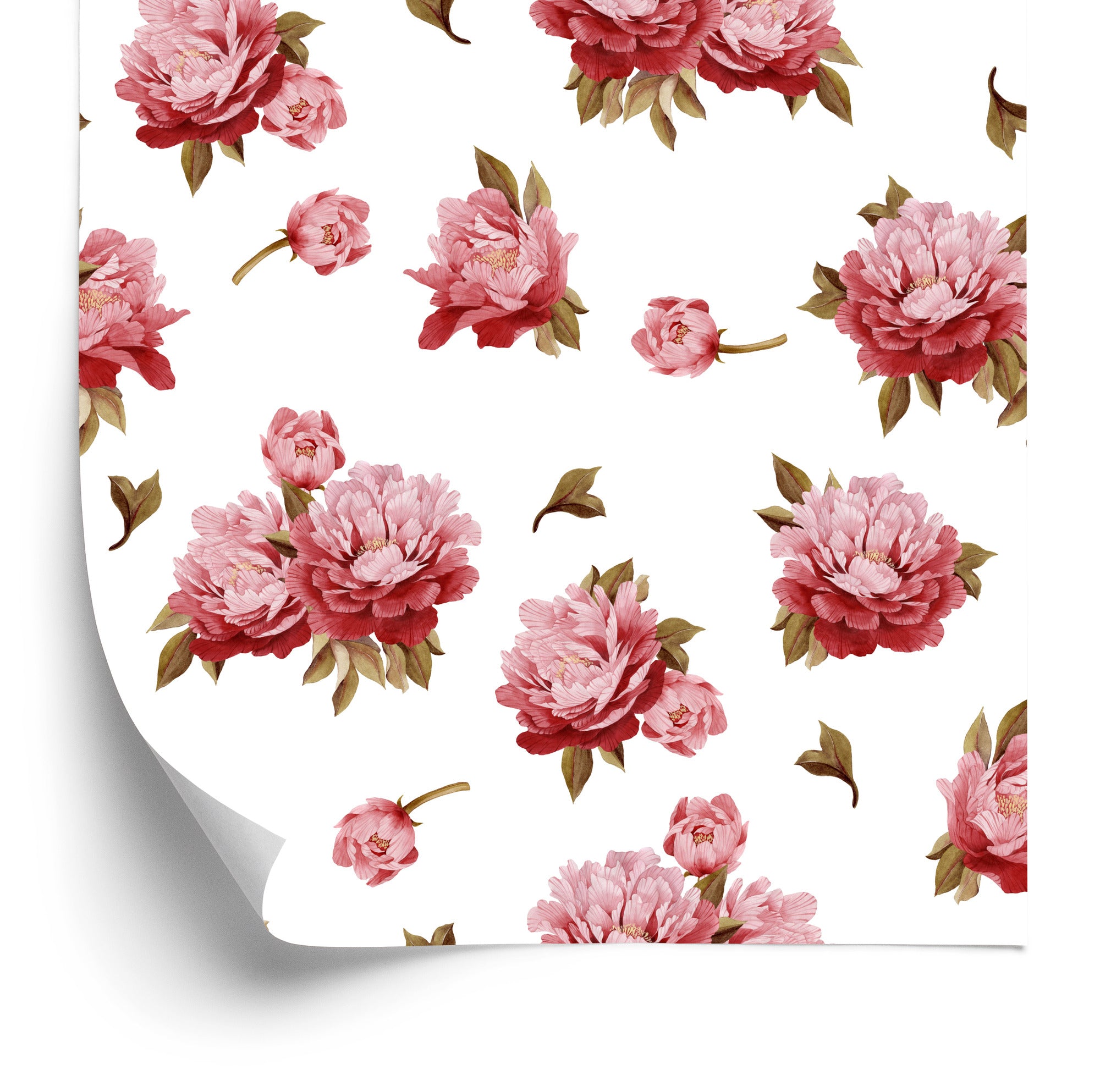 Tapeta Kolorowe Peonie - Akwarela