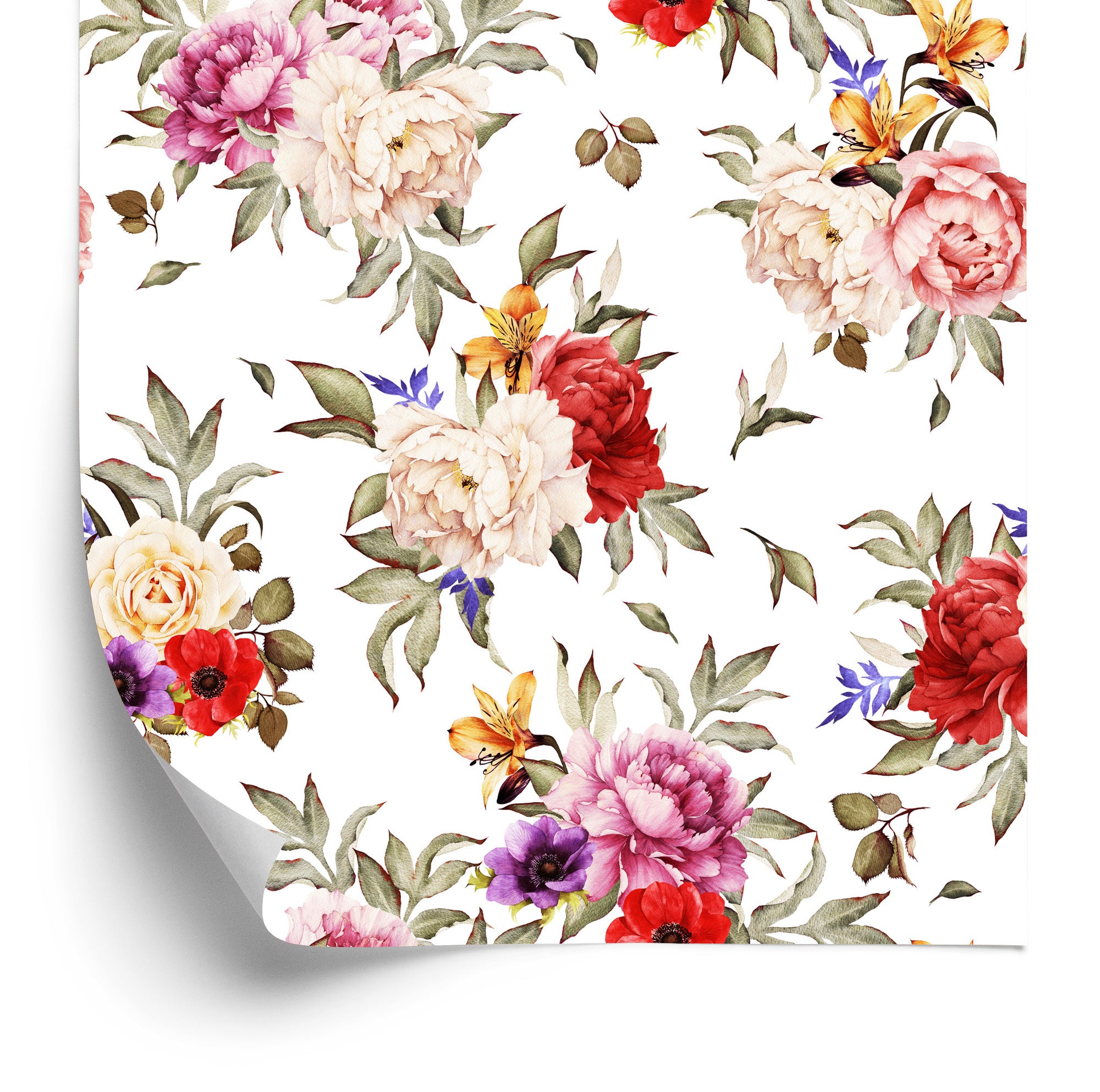 Tapeta Kolorowe Peonie - Akwarela