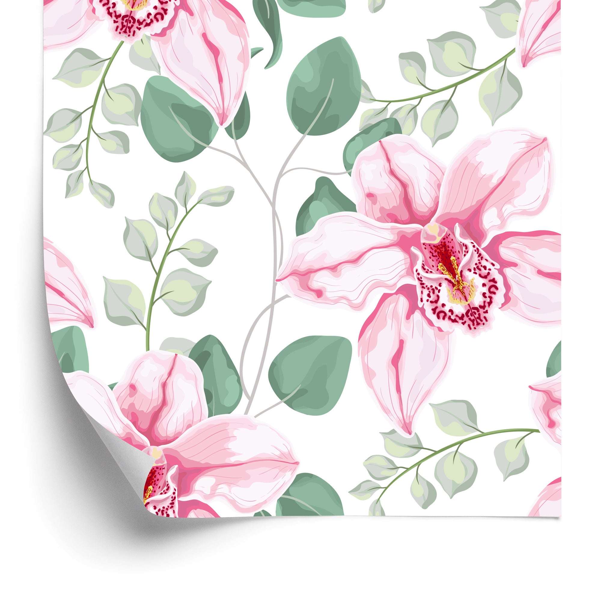 Tapeta Piękne Orchidee