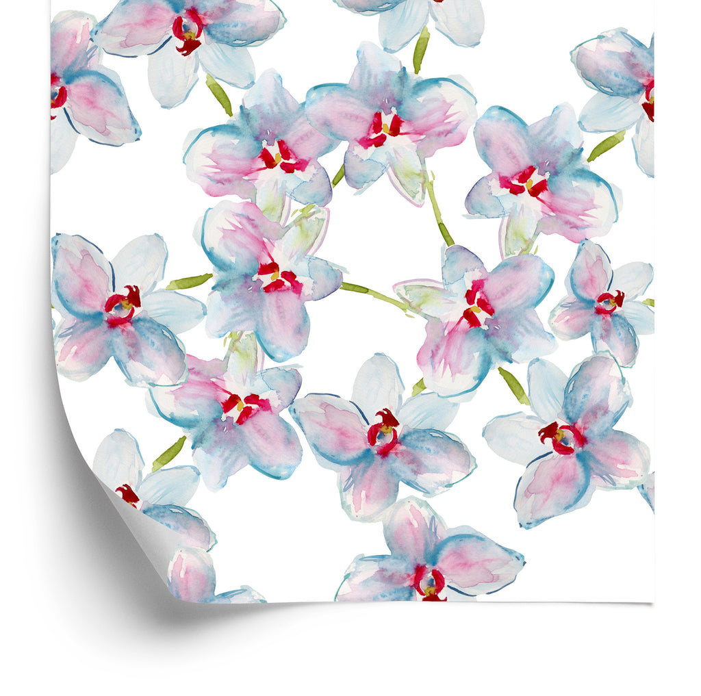 Tapeta Sypialnia Orchidee Storczyk Przyroda Natura