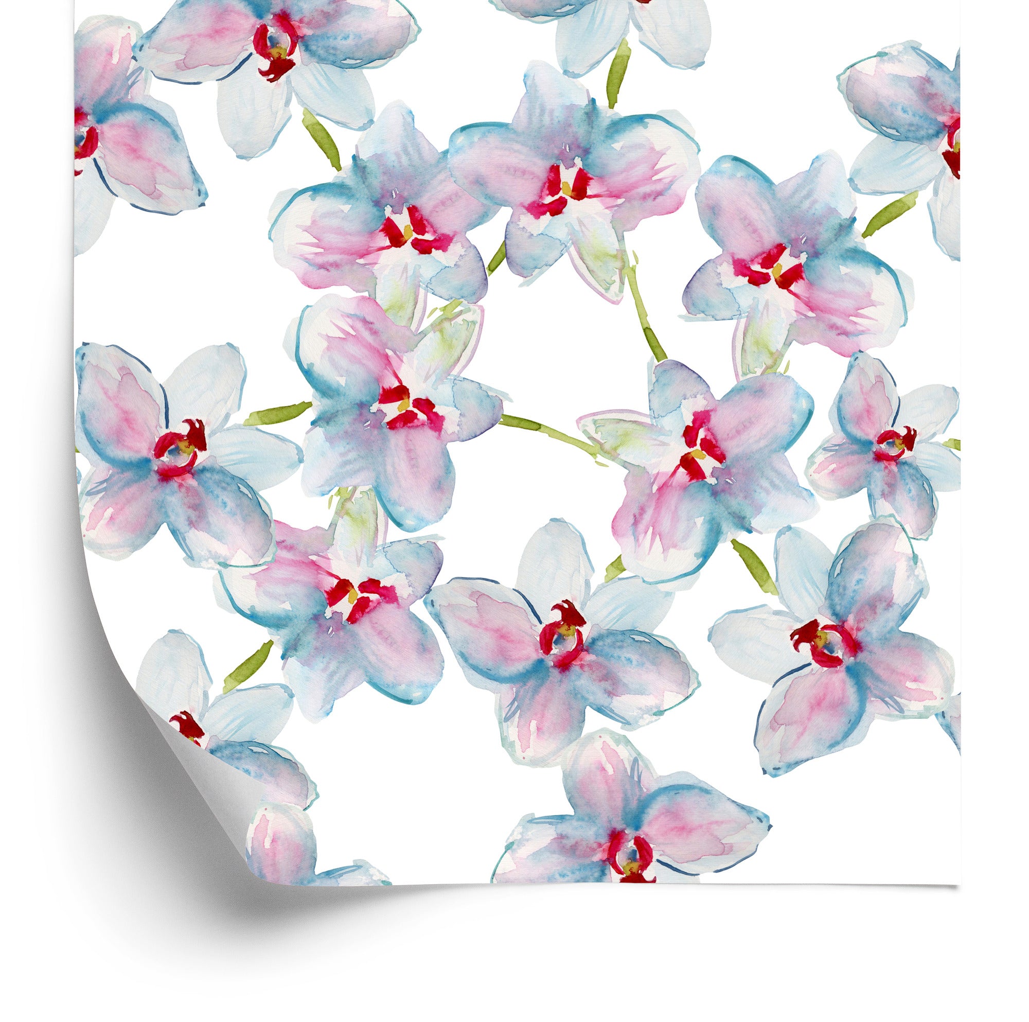 Tapeta Sypialnia Orchidee Storczyk Przyroda Natura