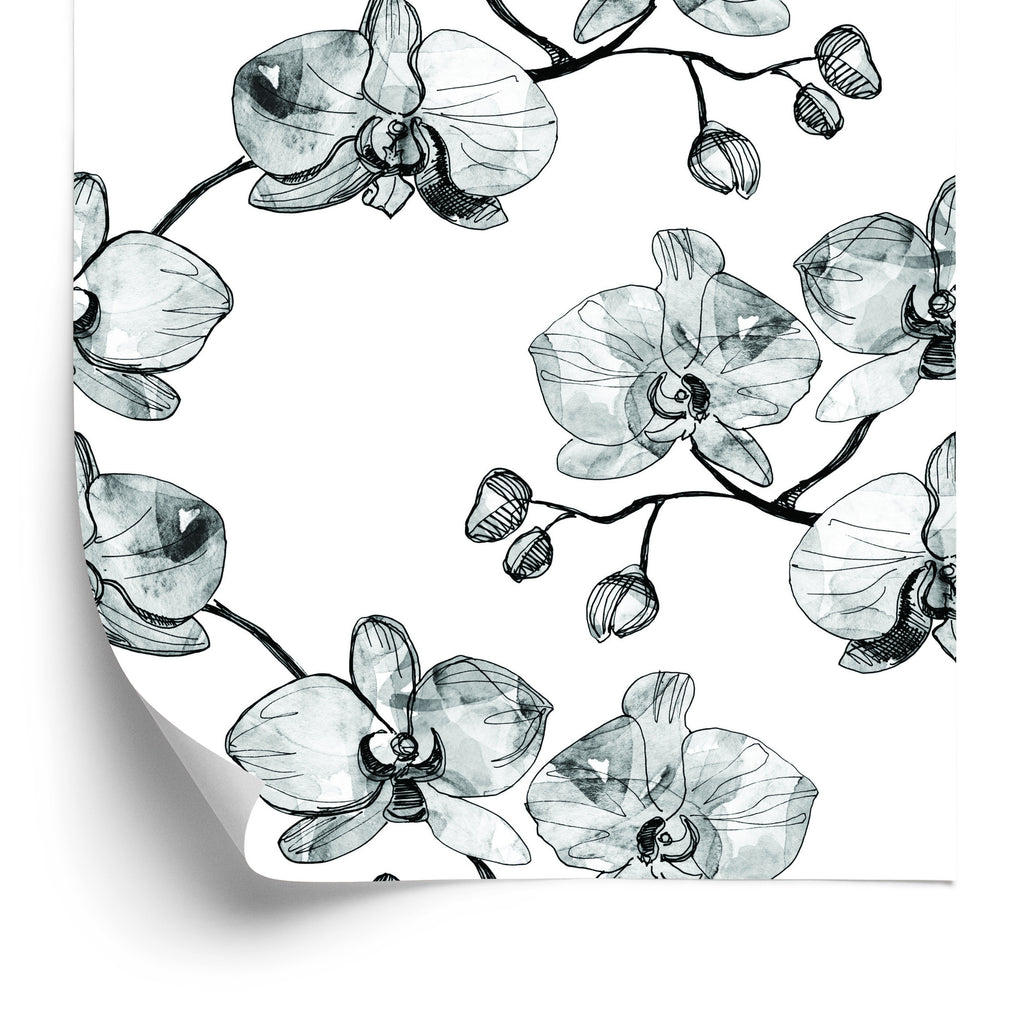 Tapeta Do Salonu Storczyki Kwiaty Orchidea Natura