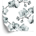 Tapeta Do Salonu Storczyki Kwiaty Orchidea Natura