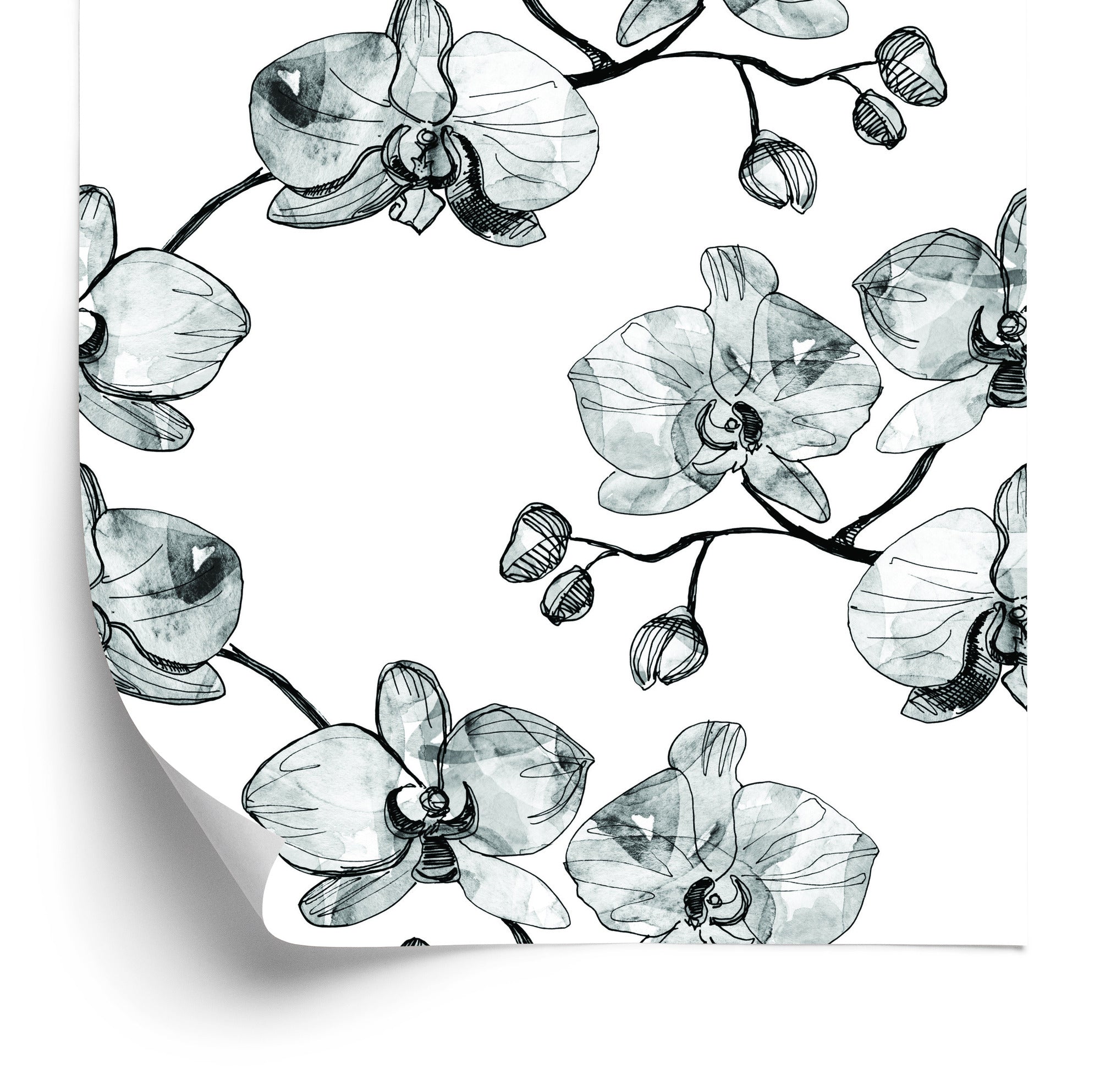 Tapeta Do Salonu Storczyki Kwiaty Orchidea Natura