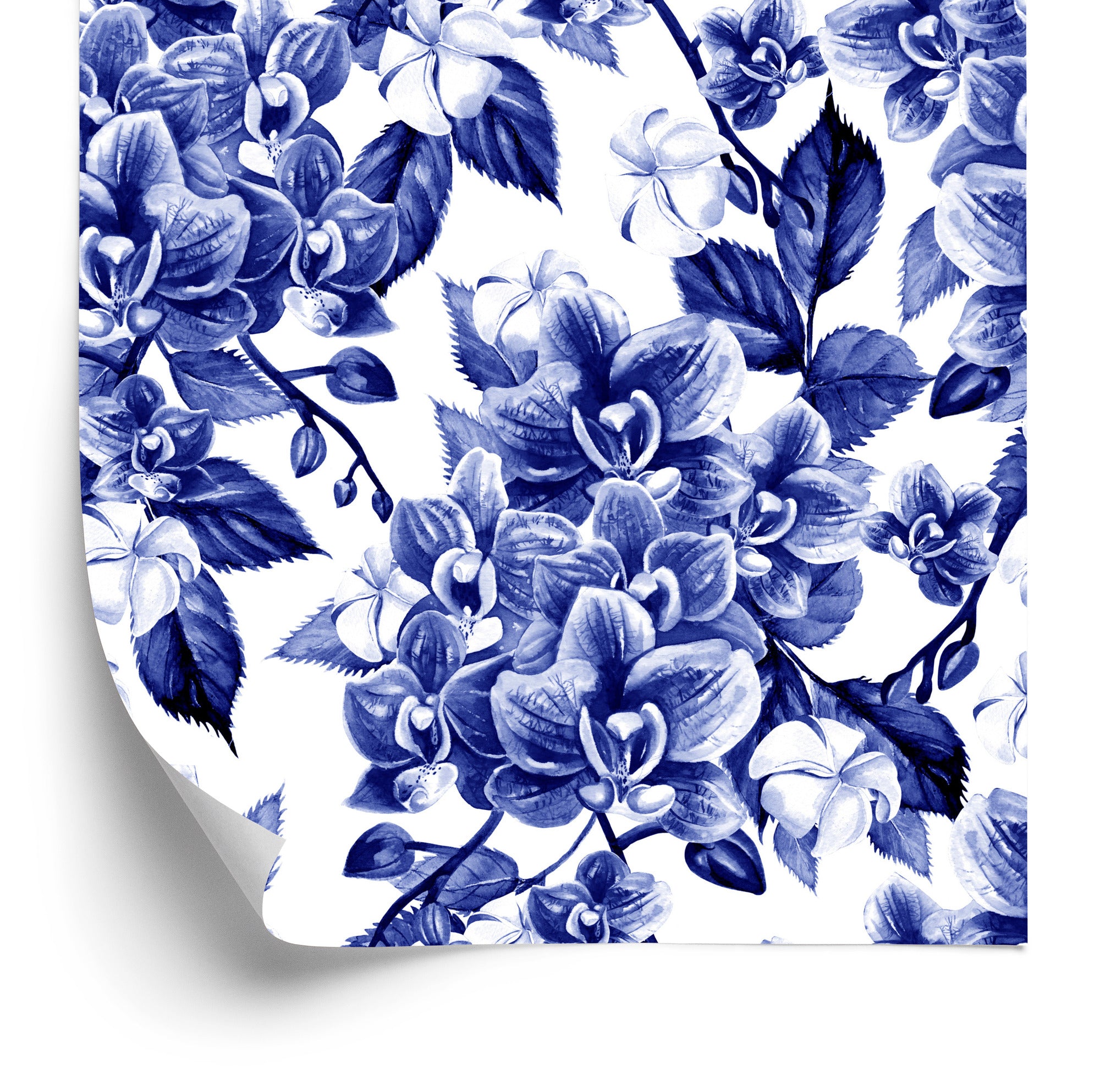 Tapeta Do Salonu Orchidea Storczyk Rośliny Natura