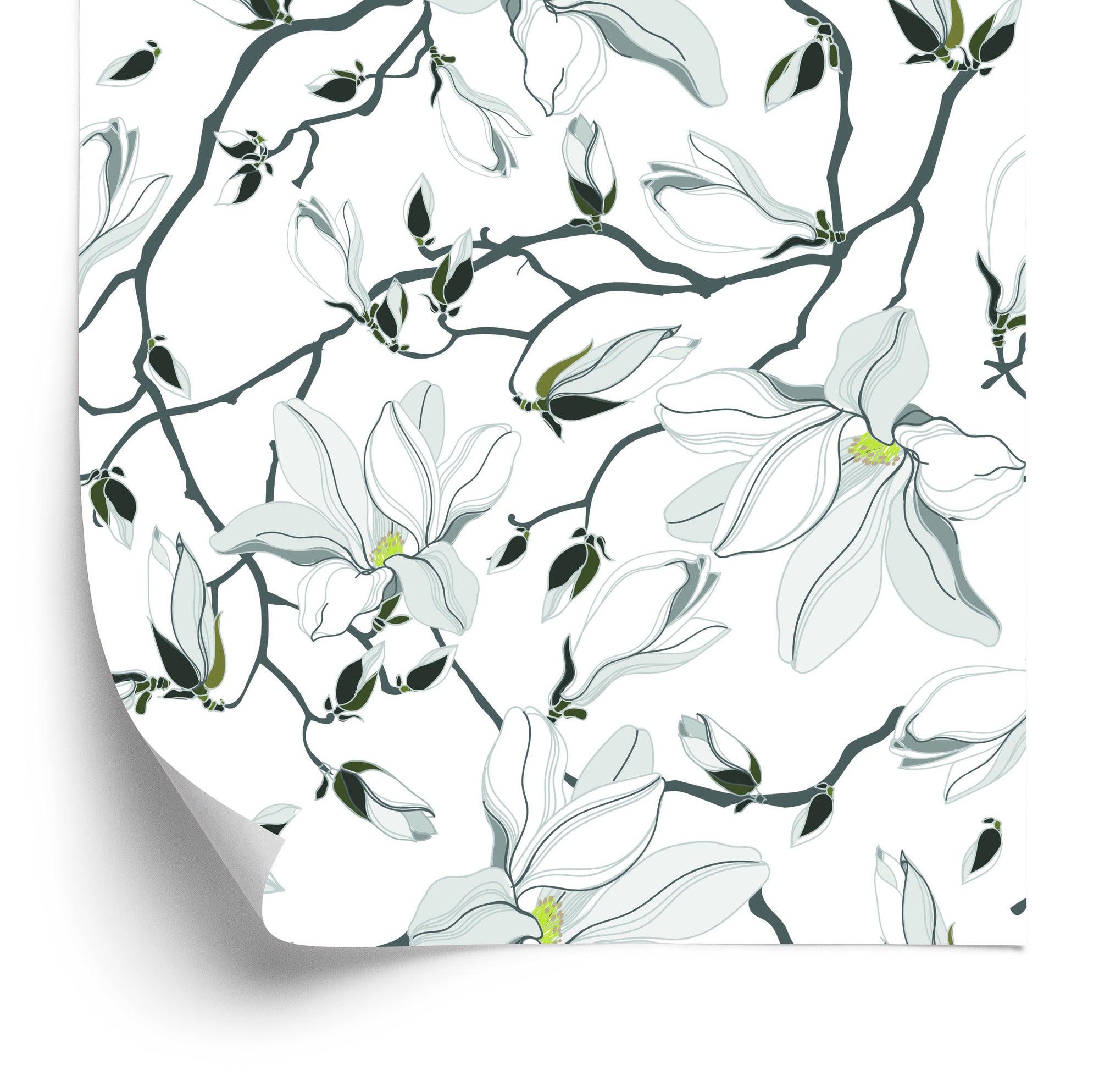 Tapeta Białe Magnolie
