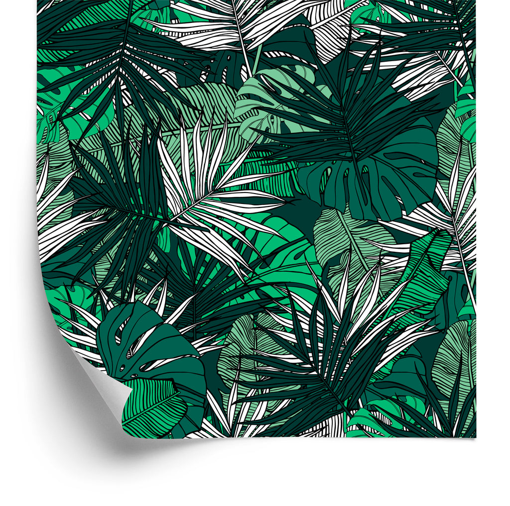 Tapeta Liście Monstera Bananowca Palmy