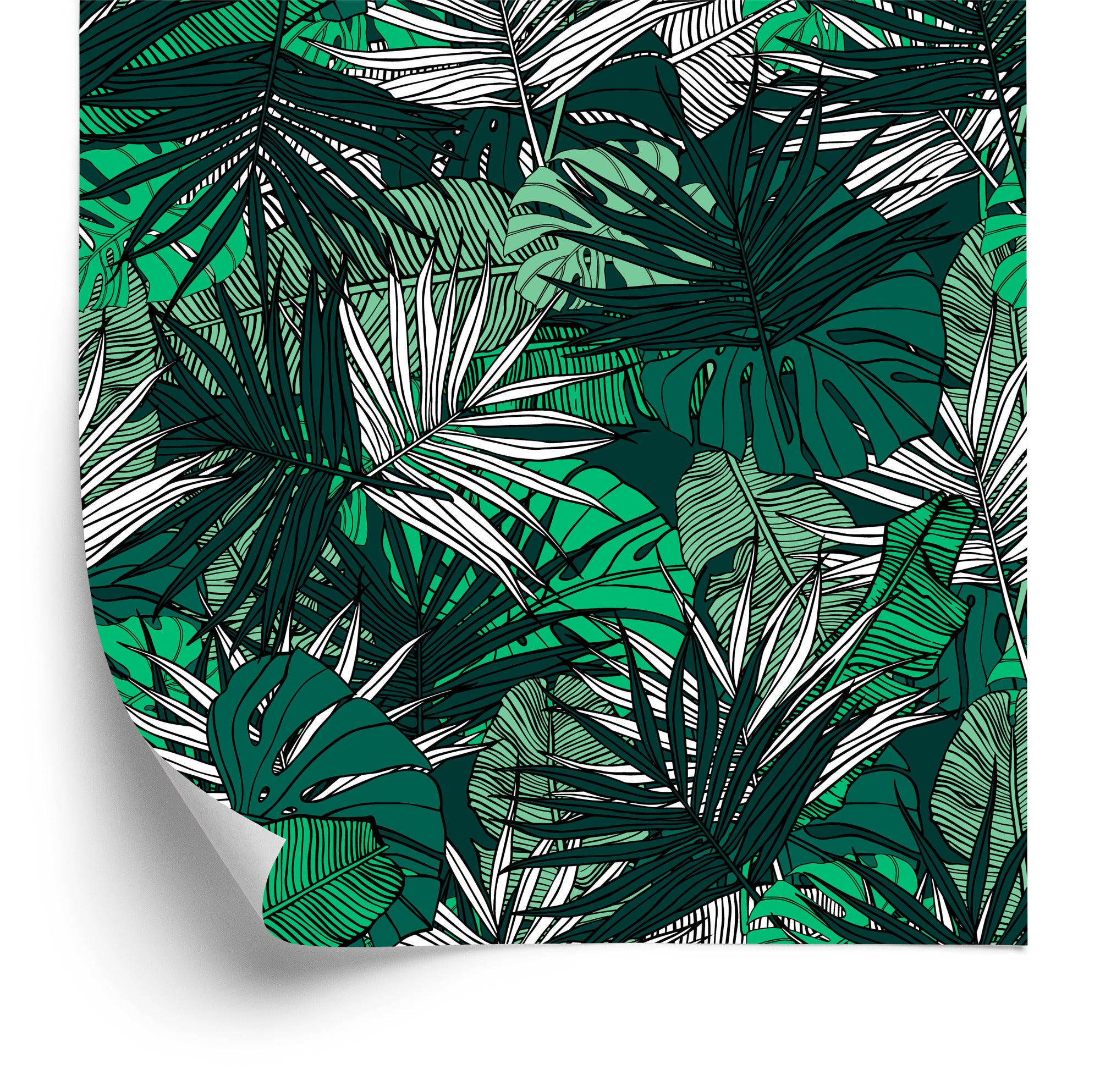 Tapeta Liście Monstera Bananowca Palmy