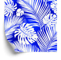 Tapeta Liście Monstera I Palmy