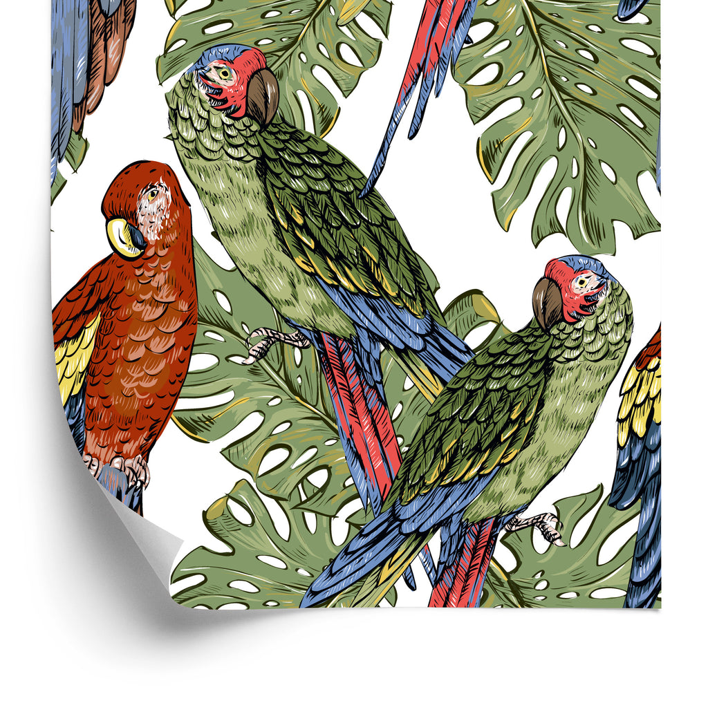 Tapeta – Kolorowe Papugi
