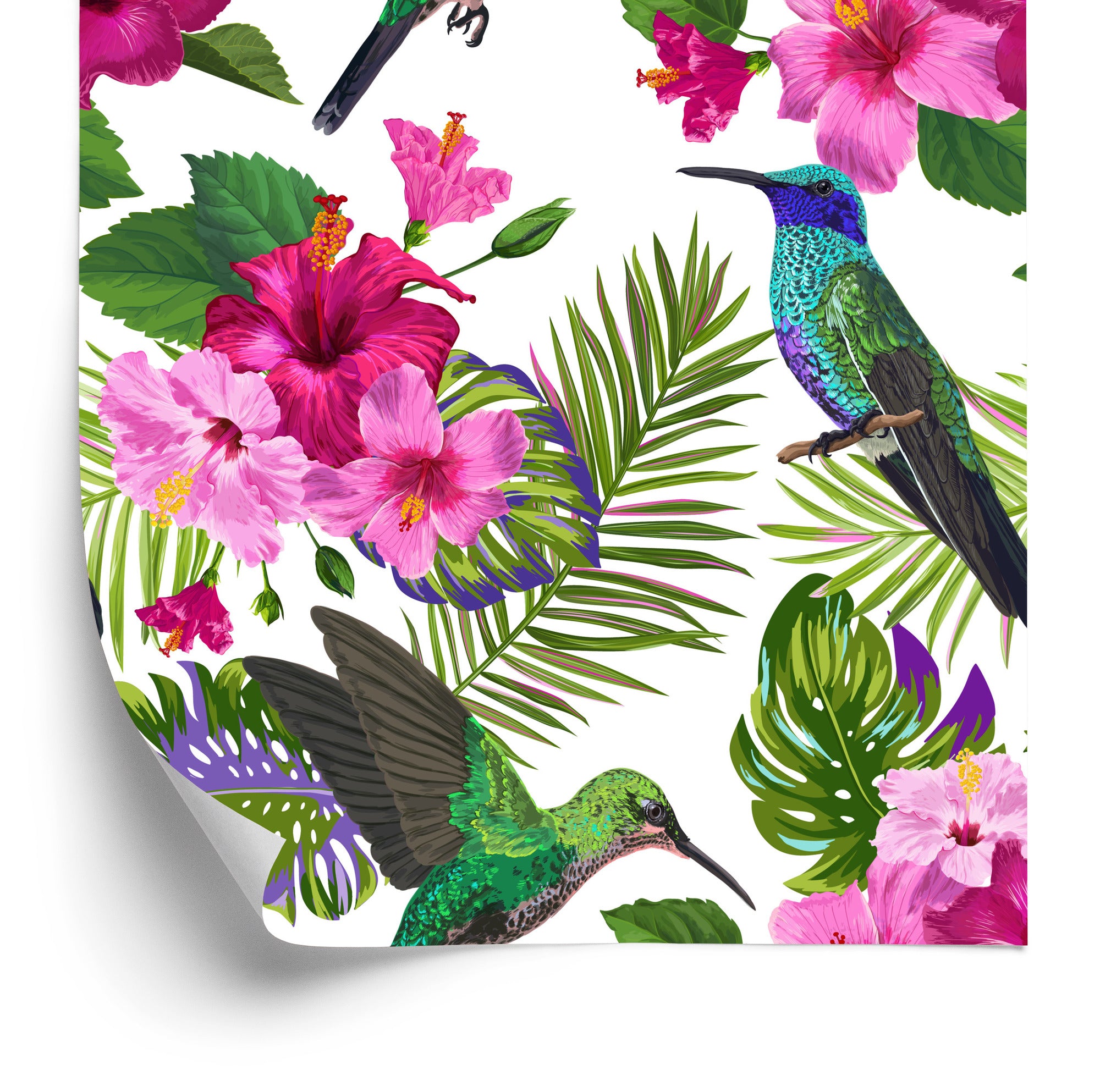 Tapeta Tropikalna - Kolorowe Kolibry, Liście I Kwiaty