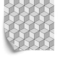 Tapeta Geometryczna-Czarno-Białe Sześciany