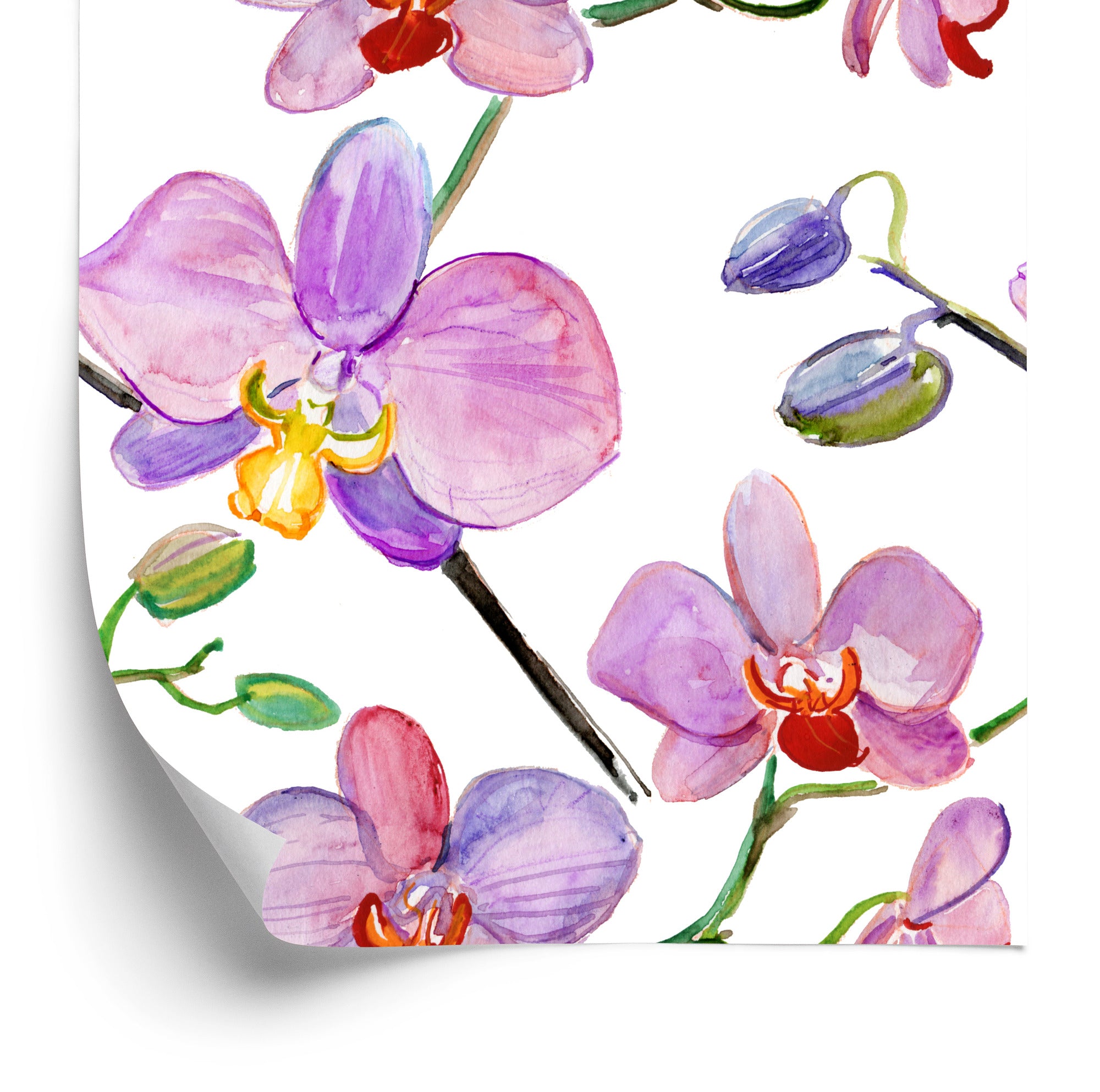 Tapeta Do Salonu Orchidee Storczyki Kwiaty Rośliny