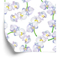 Tapeta Do Salonu Orchidea Storczyk Kwiaty Natura