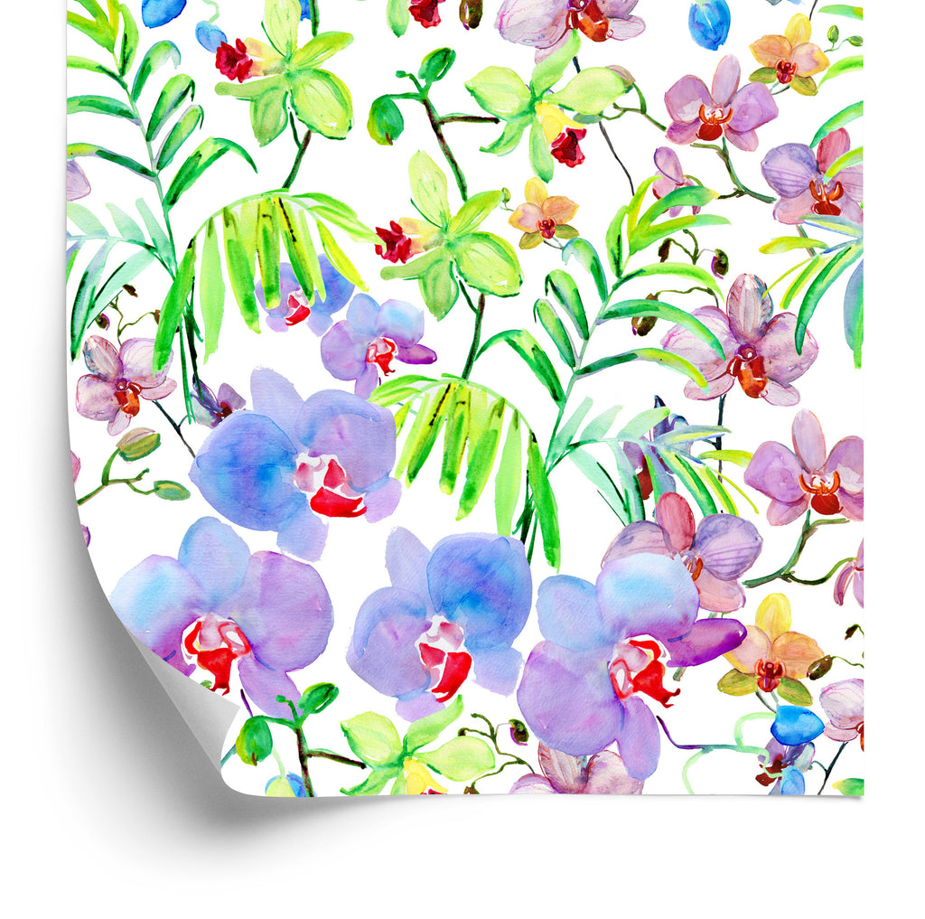 Tapeta Orchidea Storczyki Rośliny Kwiaty Do Salonu