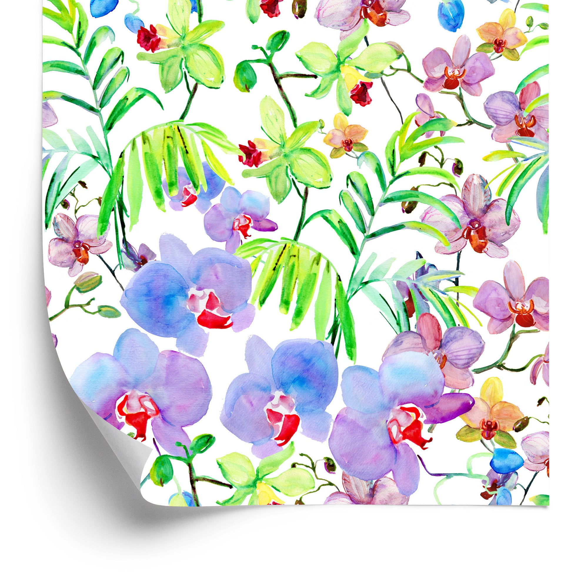 Tapeta Orchidea Storczyki Rośliny Kwiaty Do Salonu