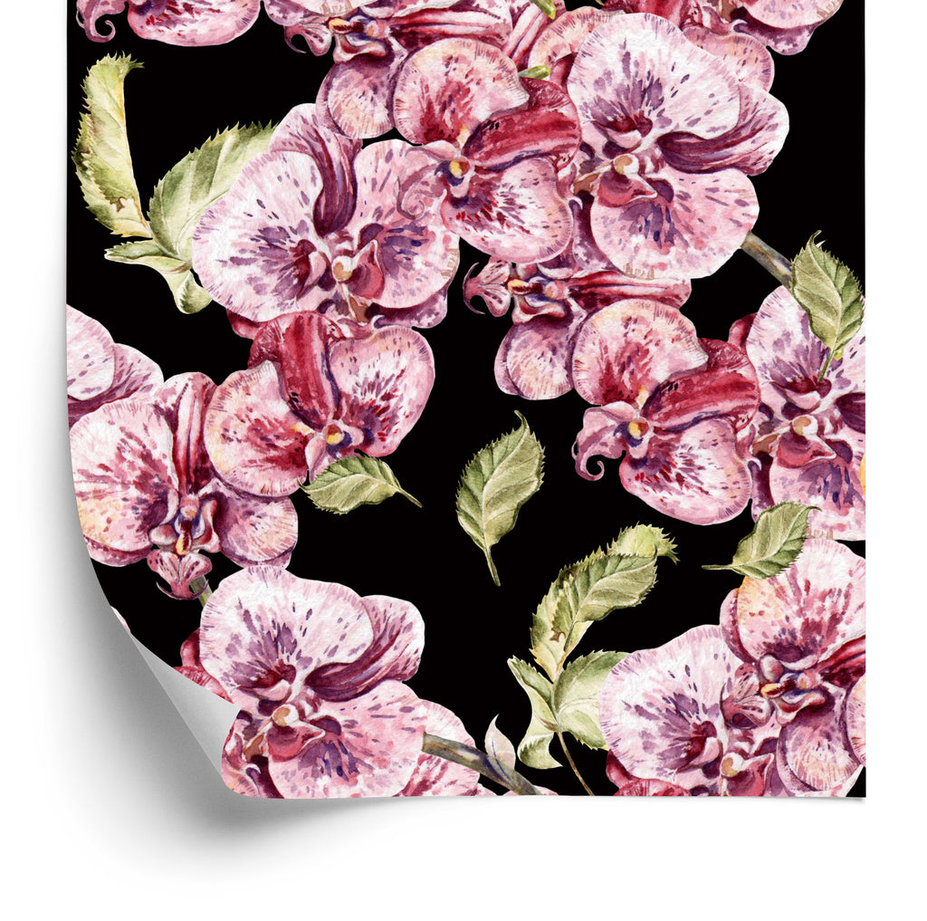 Tapeta Do Sypialni Orchidea Storczyk Natura Kwiaty