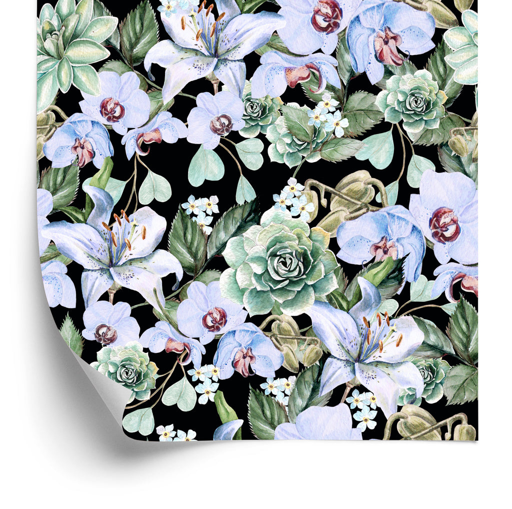 Tapeta Rośliny Natura Orchidee Storczyki Do Salonu