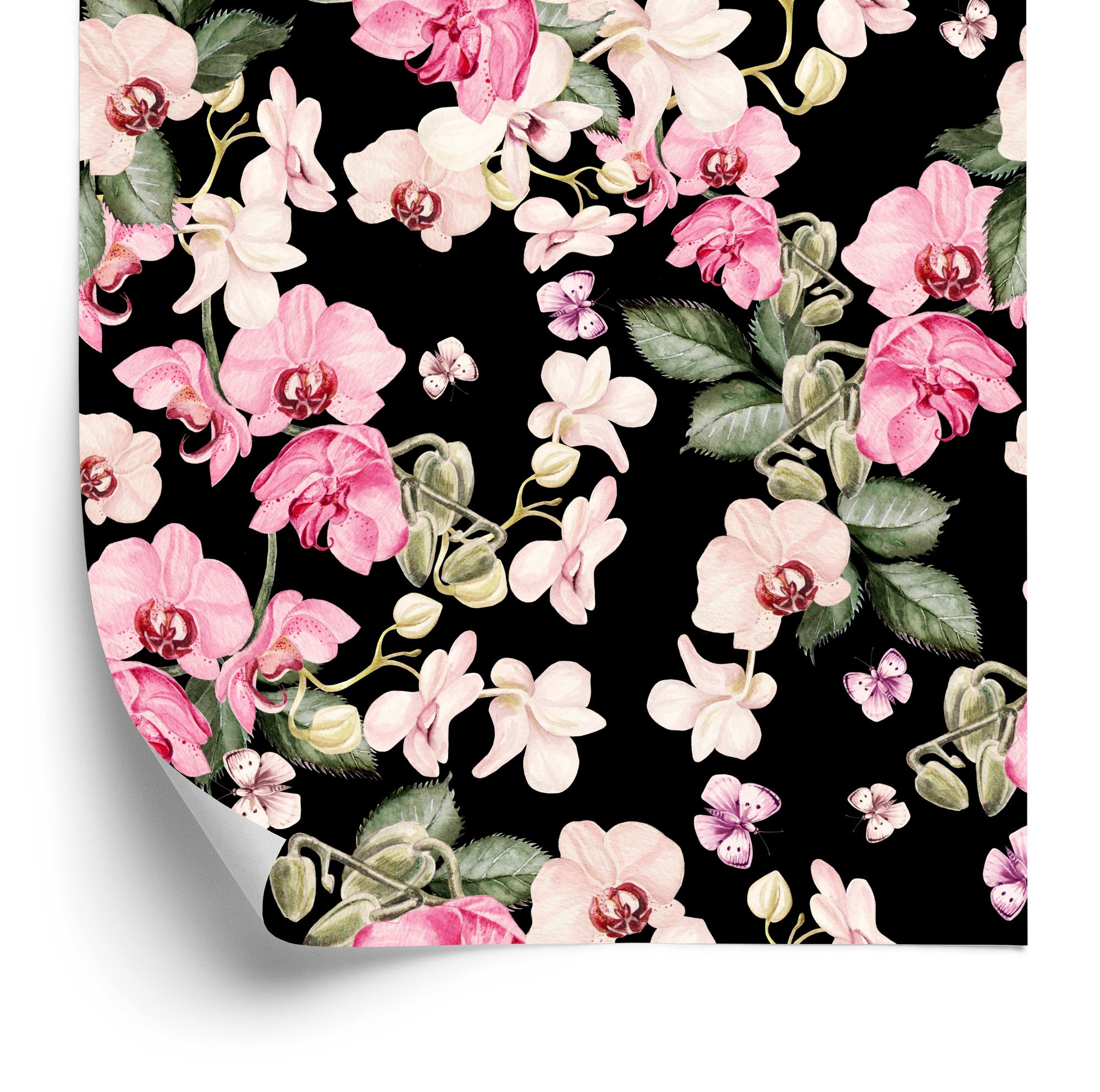 Tapeta Do Sypialni Natura Kwiaty Orchidea Storczyk