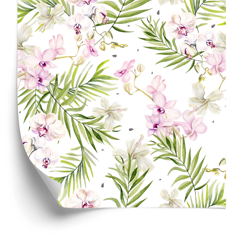 Tapeta Do Salonu Storczyki Orchidea Kwiaty Natura