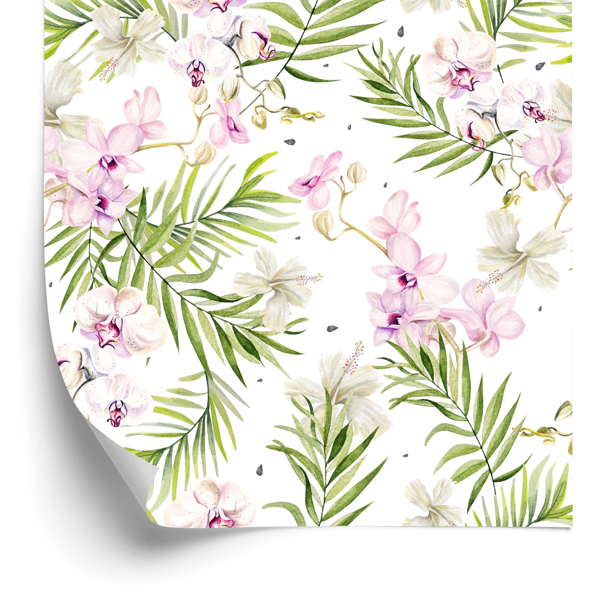 Tapeta Do Salonu Storczyki Orchidea Kwiaty Natura