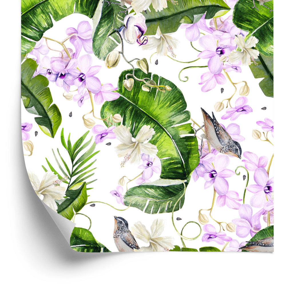Tapeta Do Salonu Rośliny Natura Storczyki Kwiaty