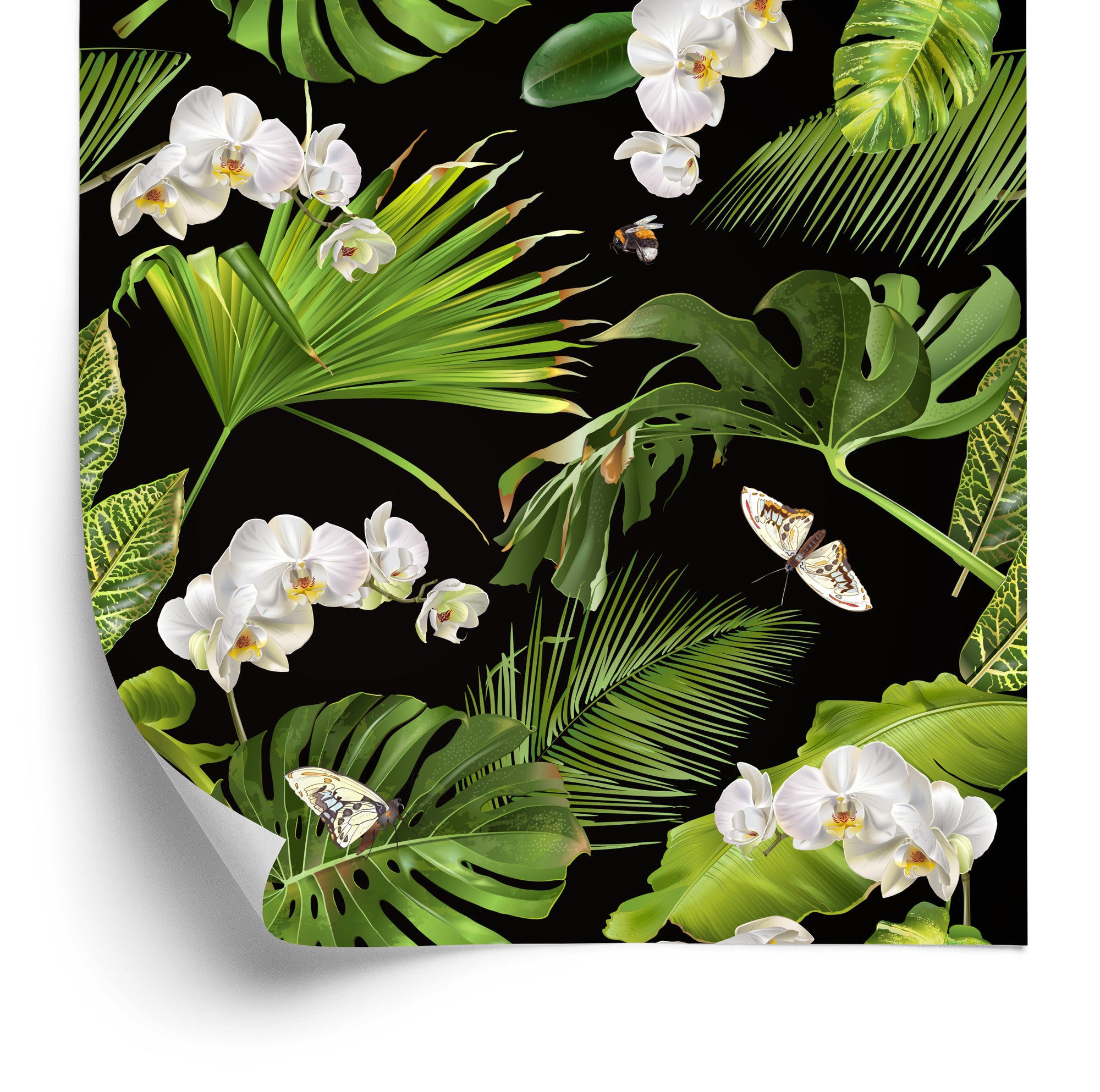 Tapeta Kwiaty Storczyki Natura Do Sypialni