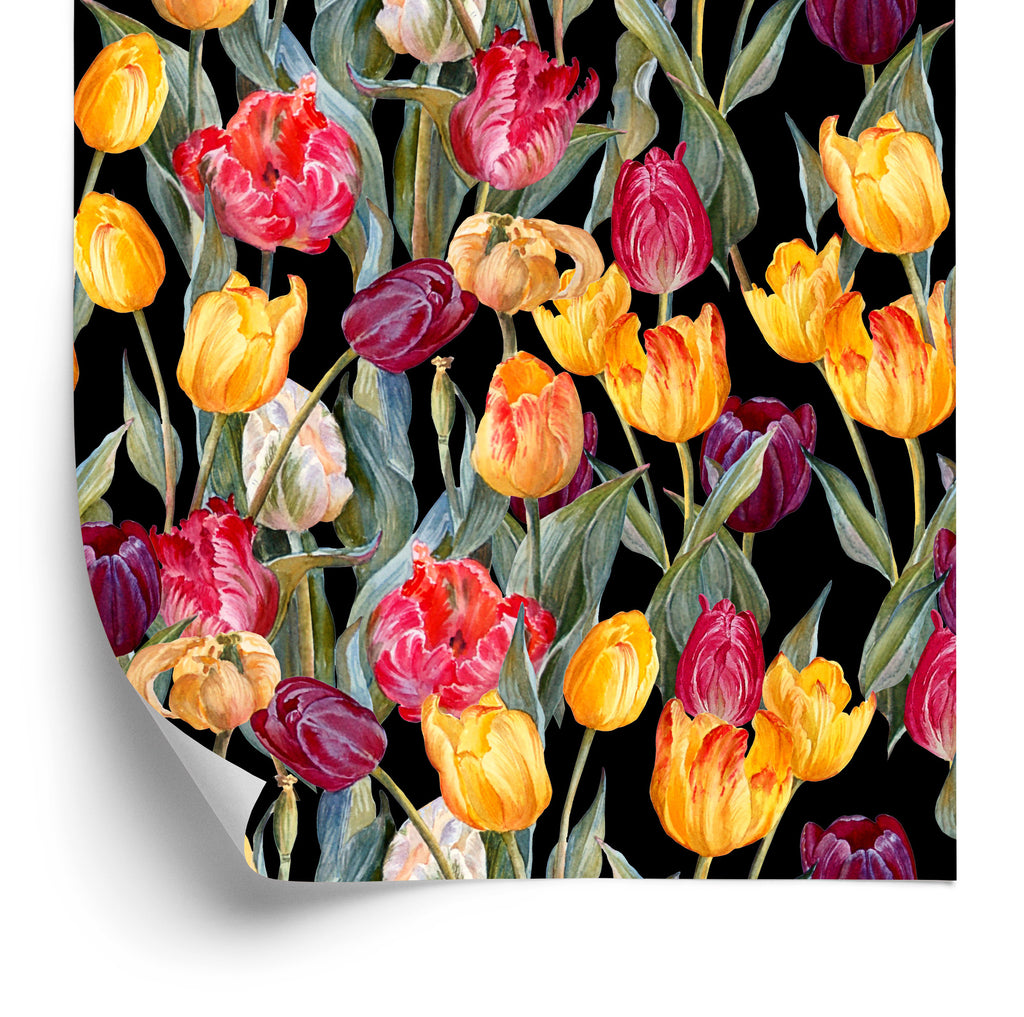 Tapeta Kolorowe Tulipany