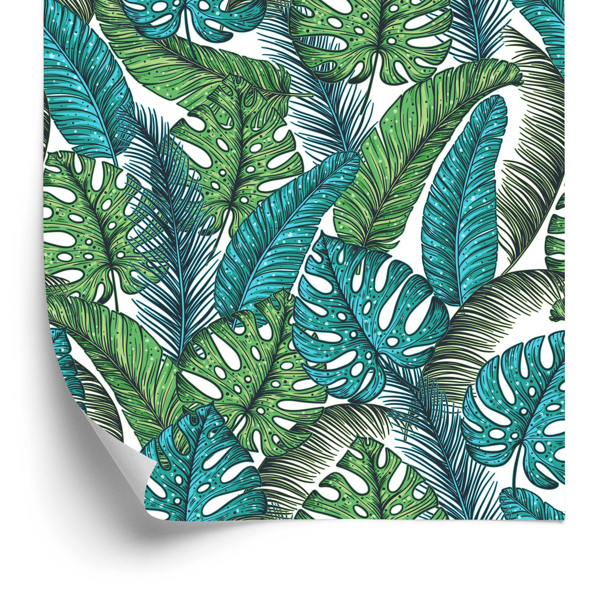 Tapeta Liście Monstera Dżungla