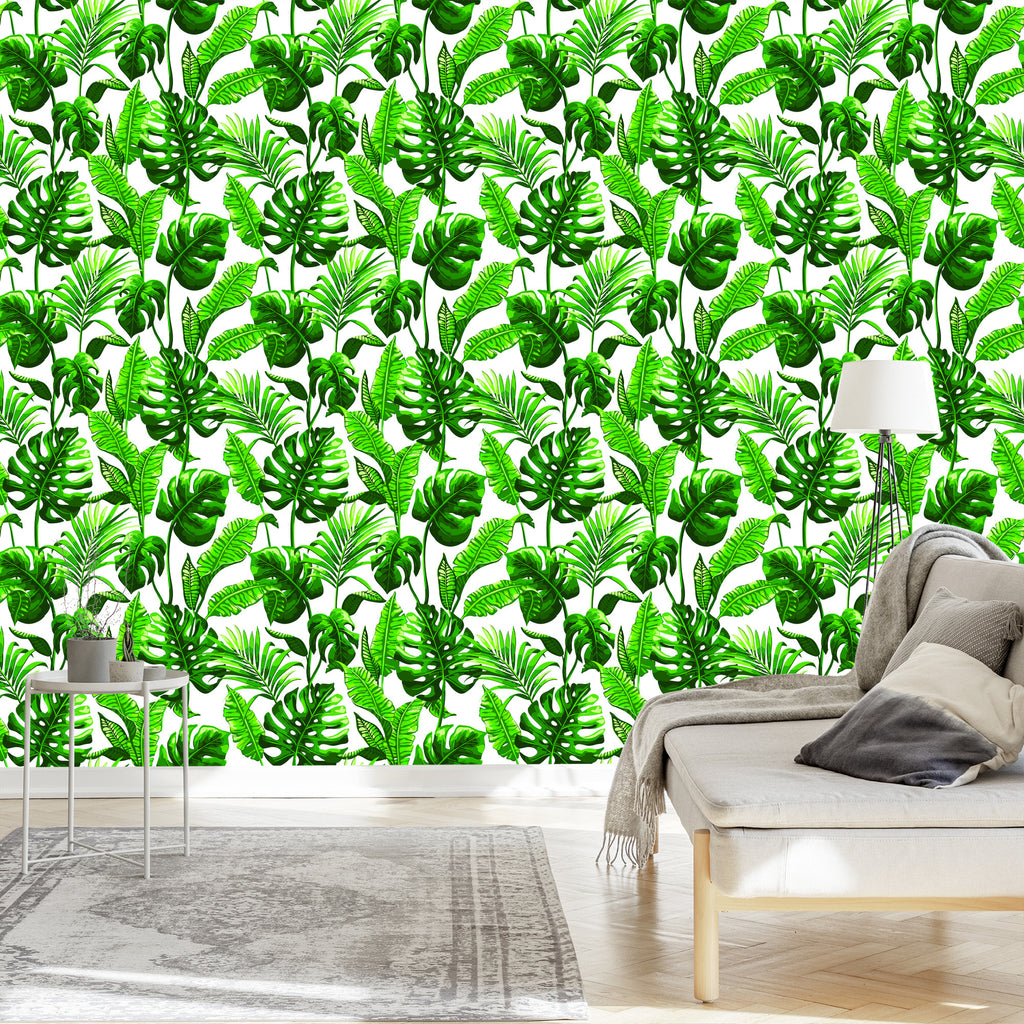 Tapeta Liście Monstera I Palmy